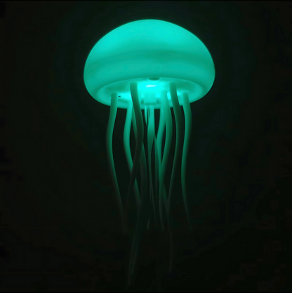 Floating Jellyfish Lamp | Last Day 80% Off!