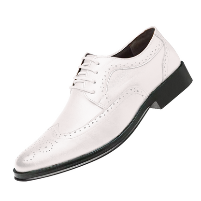 Mason | Comfortable Formal Shoes | Last day 80% off!